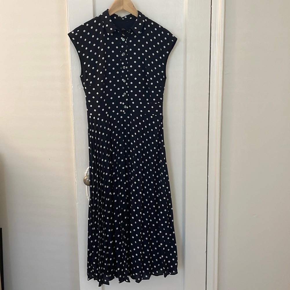 J. Crew Polka Dot dress